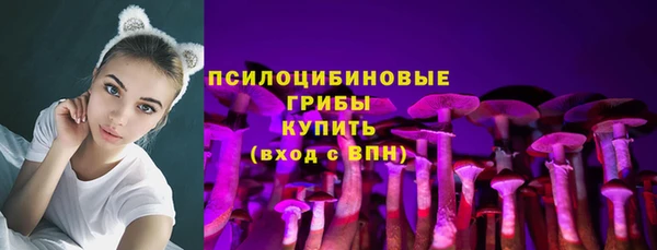 винт Алексин